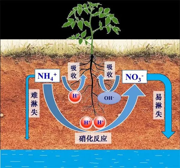  	统筹传统和新型基础设